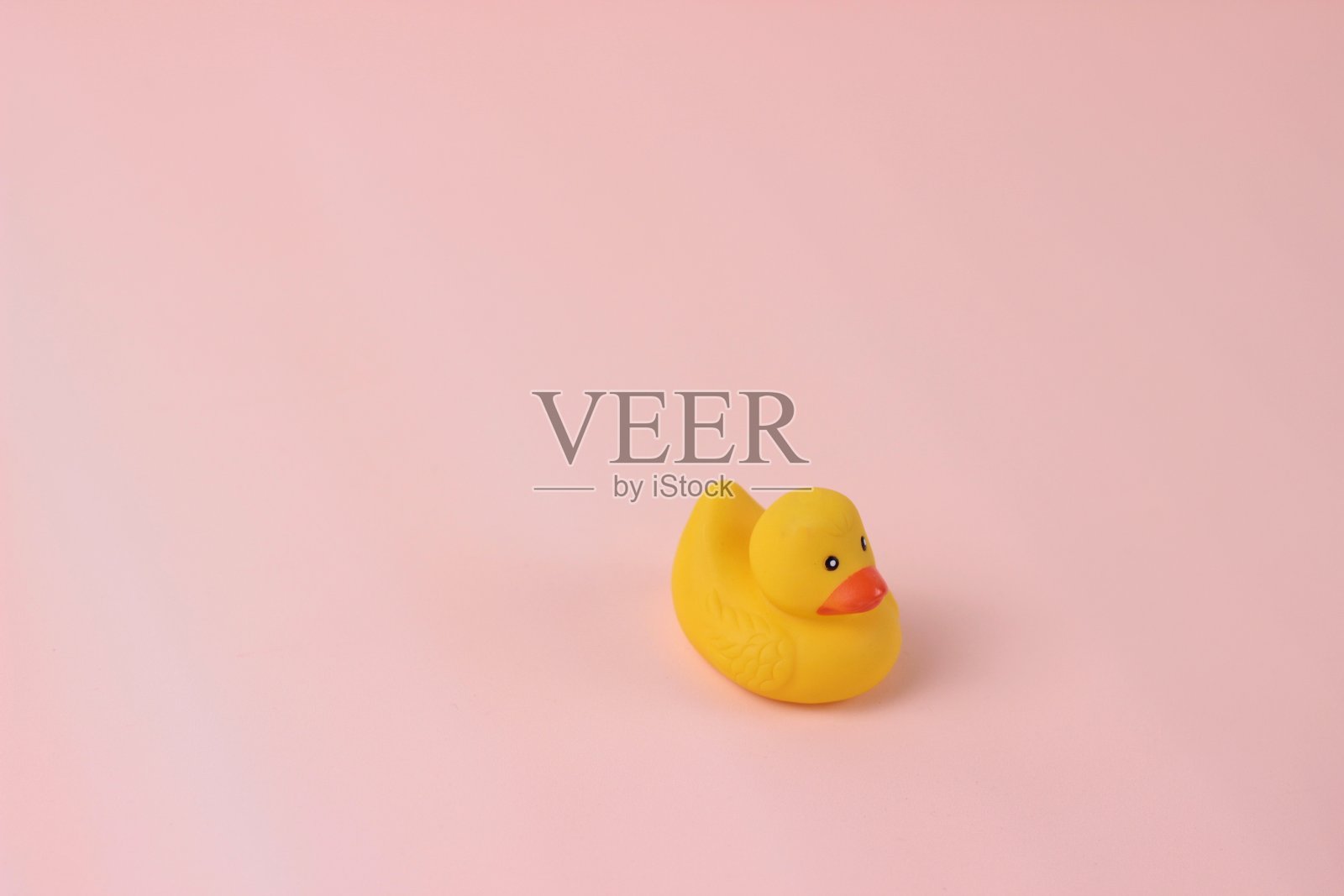 动物的背景。黄色橡皮鸭玩具在婴儿粉红色的背景。照片摄影图片