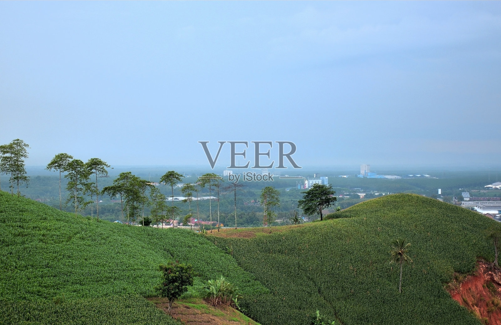 清晨乐马塘山照片摄影图片