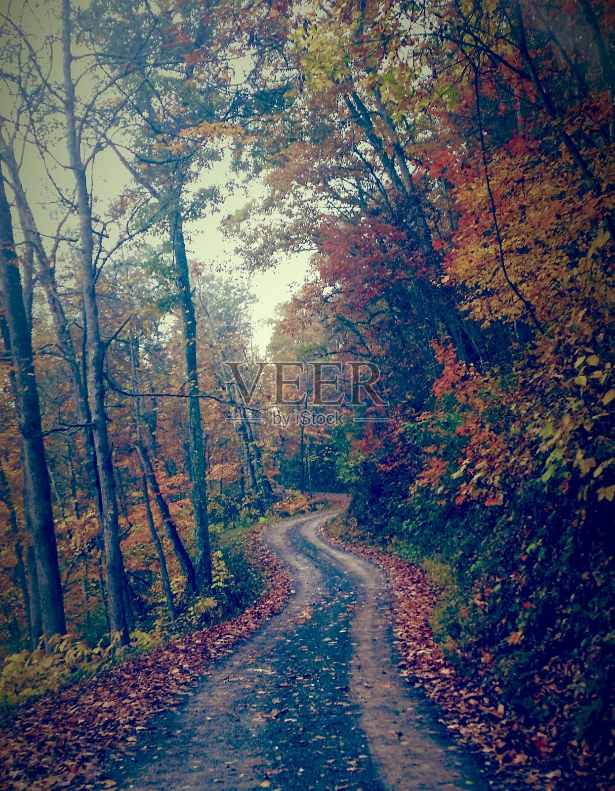 瓦托加照片摄影图片