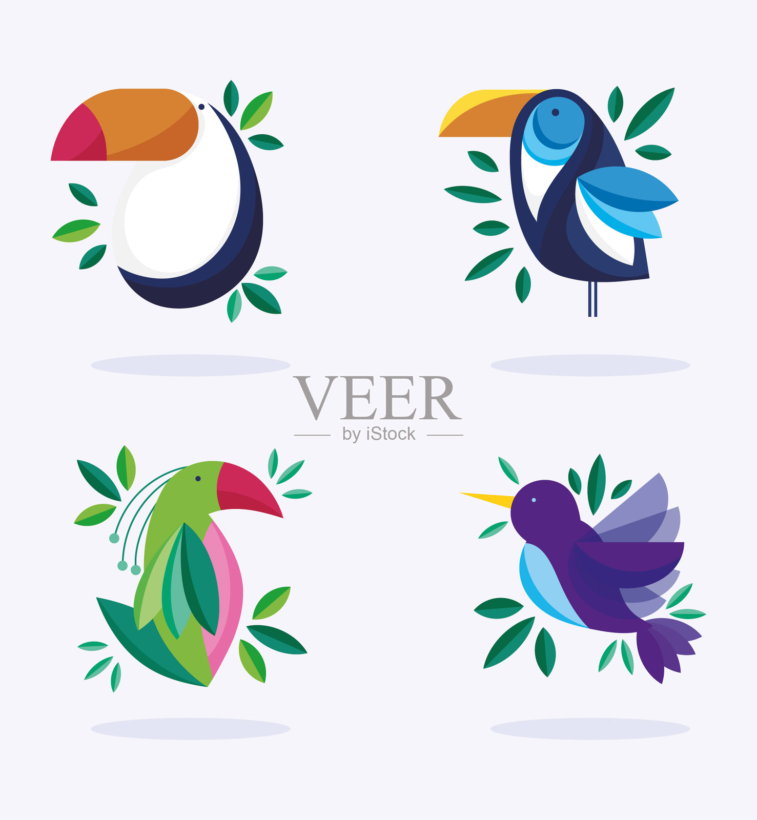 鸟类、鸟类、自然动物群、植物群设计插画图片素材