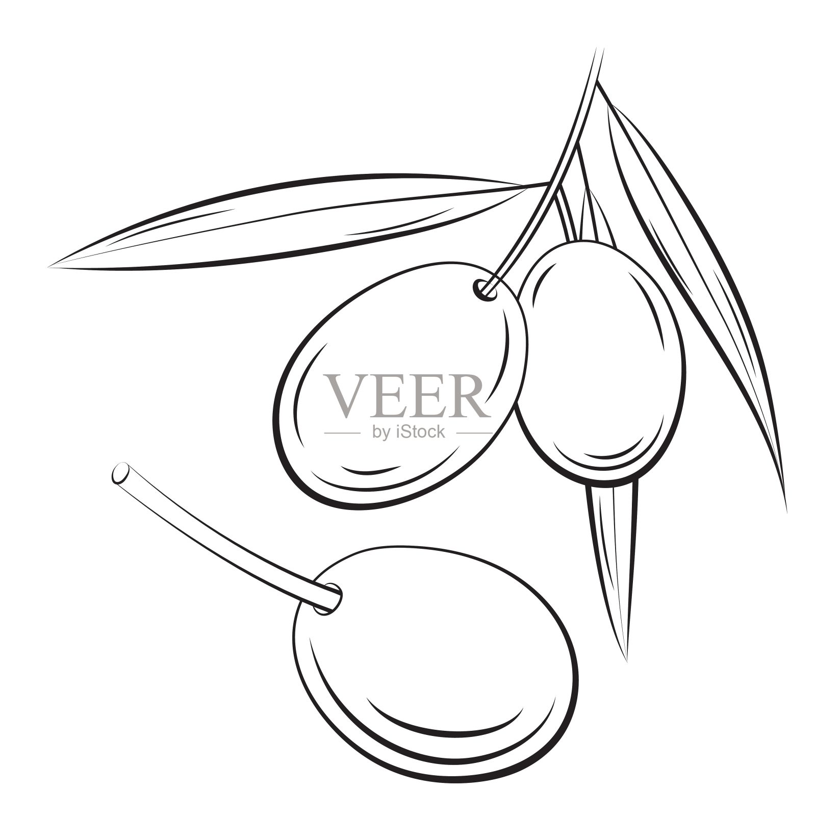 素描橄榄雕刻复古风格的插图。黑白线艺术孤立在白色背景上。设计商店,市场,书籍,菜单,横幅。轮廓墨水风格素描。农贸市场产品。插画图片素材