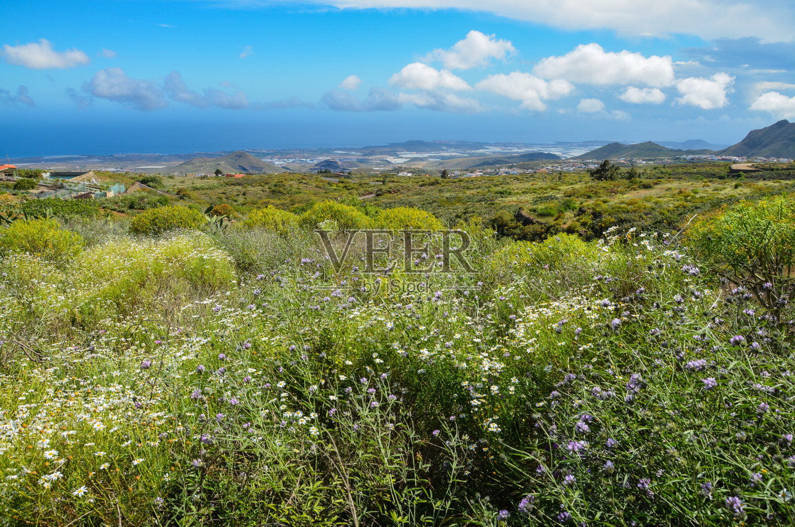 春天的风景照片摄影图片