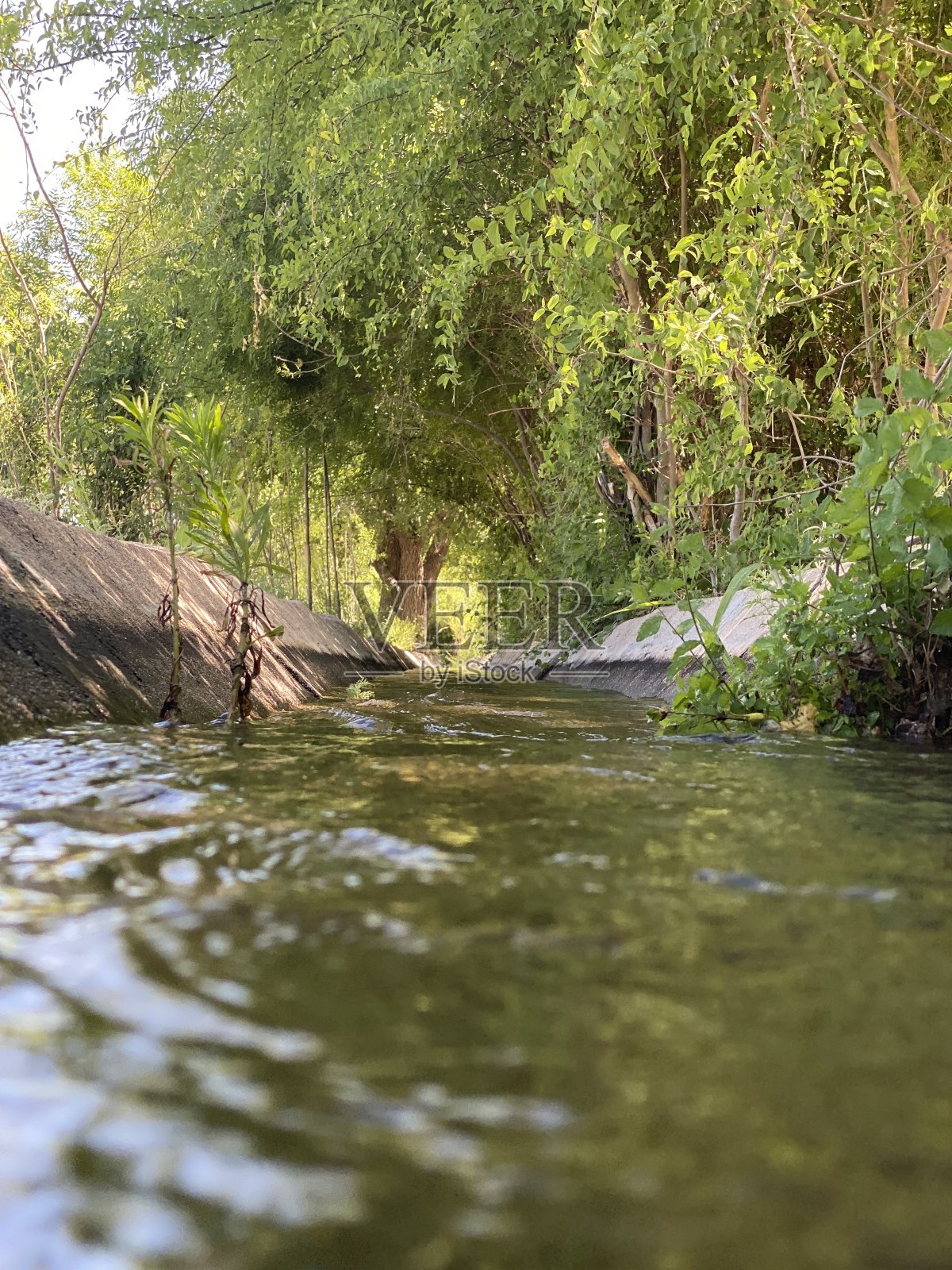 水照片摄影图片