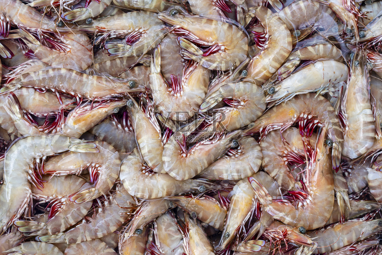 泰国街头市场的新鲜海虾。海鲜的概念。照片摄影图片