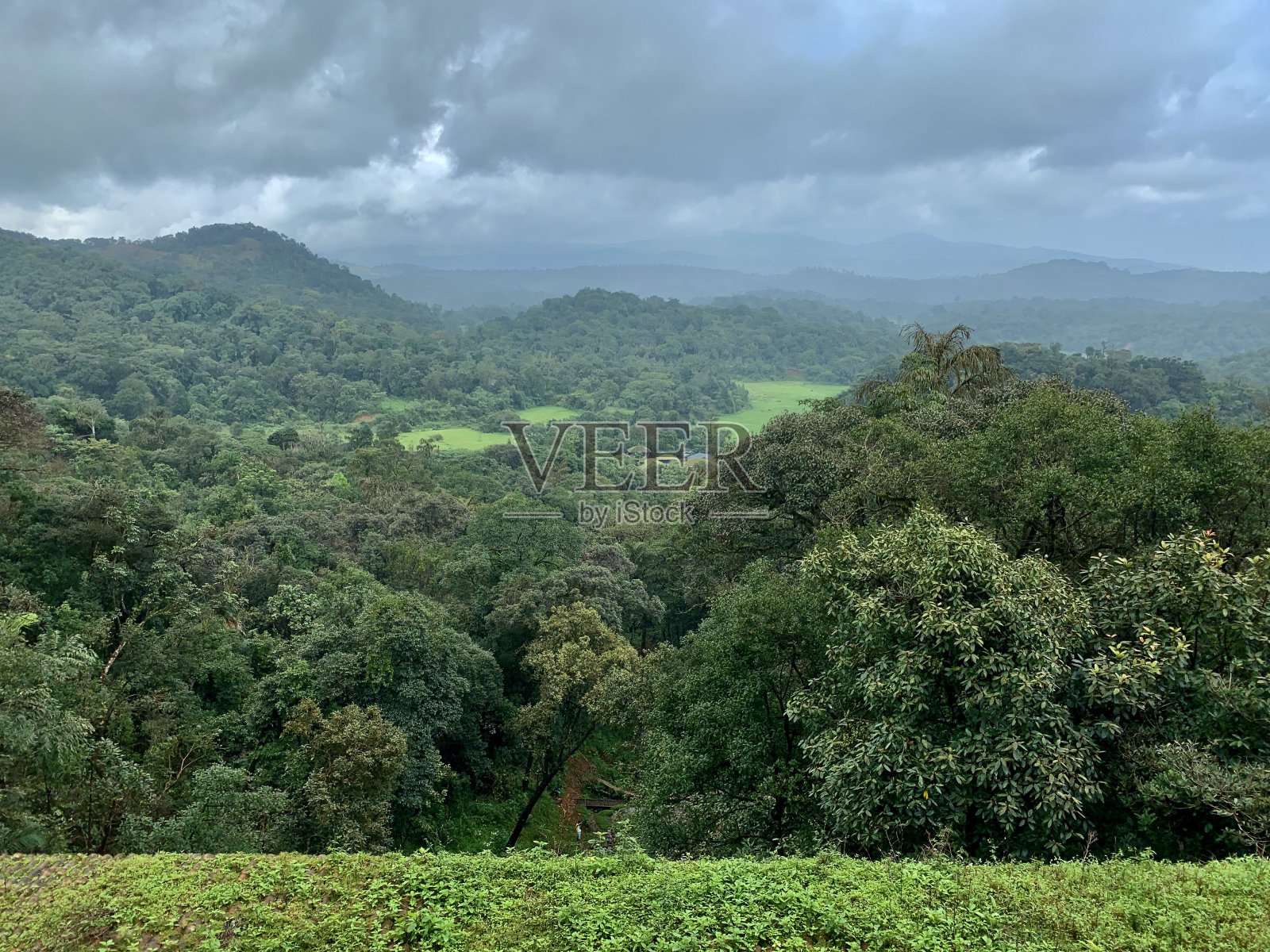 看绿色山丘上的植被照片摄影图片