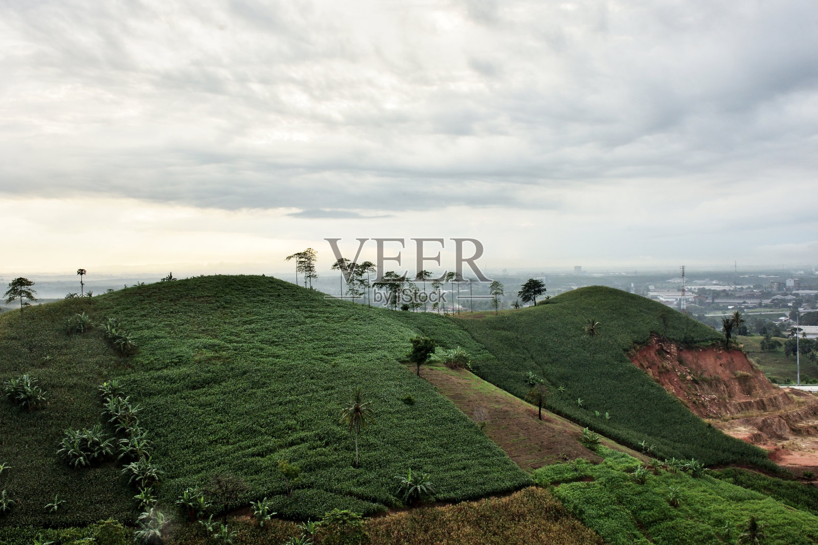 清晨乐马堂山照片摄影图片