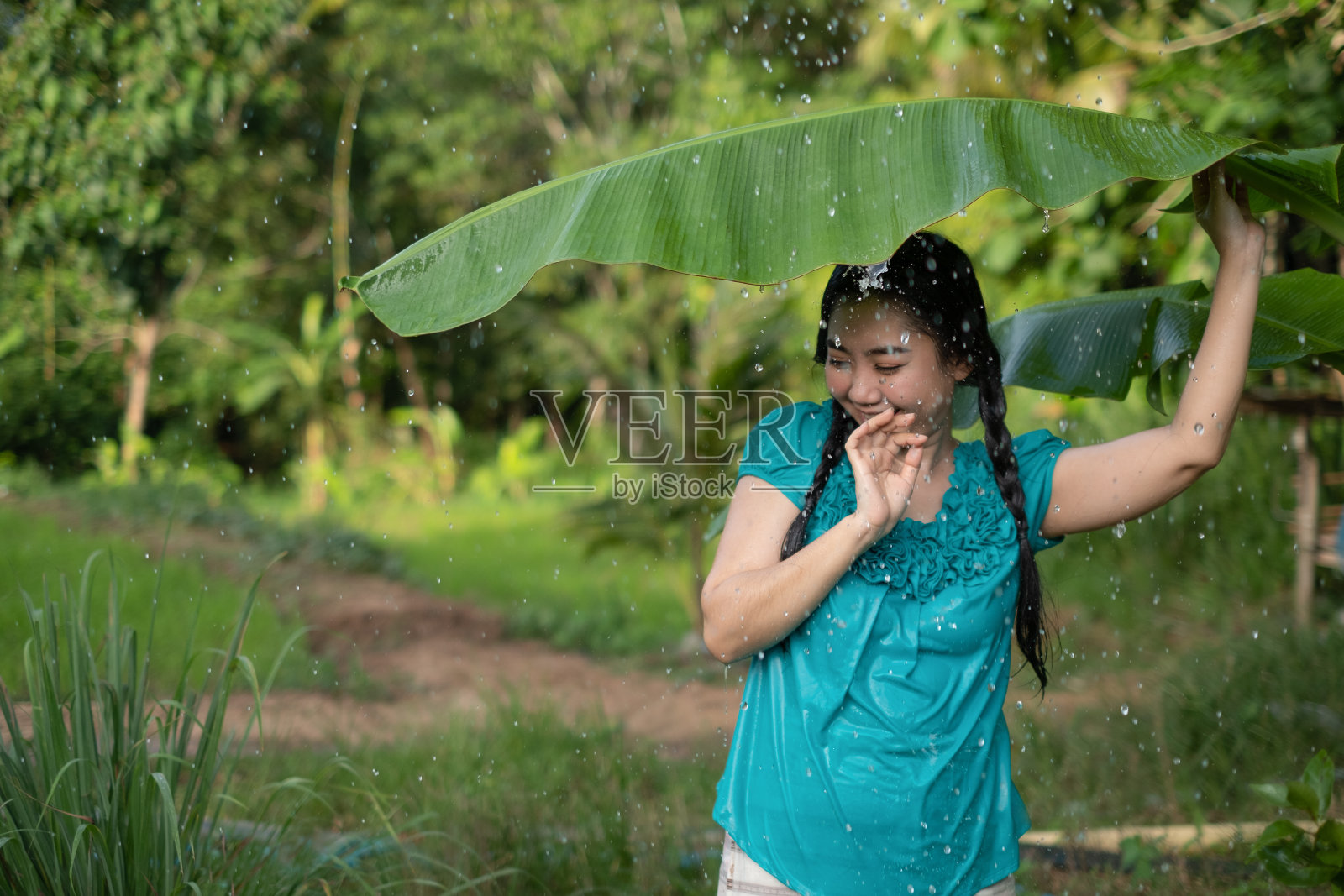 一个年轻的亚洲女人的肖像,黑发在雨中拿着一片香蕉叶在绿色的花园背景照片摄影图片