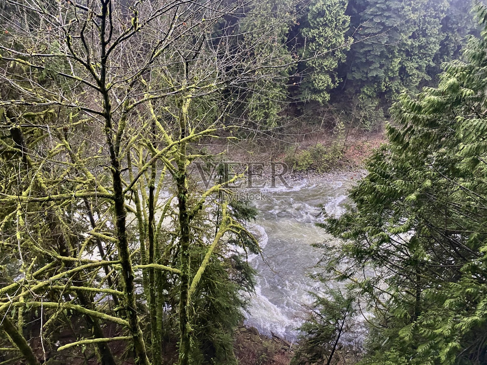 惠斯勒,加拿大照片摄影图片