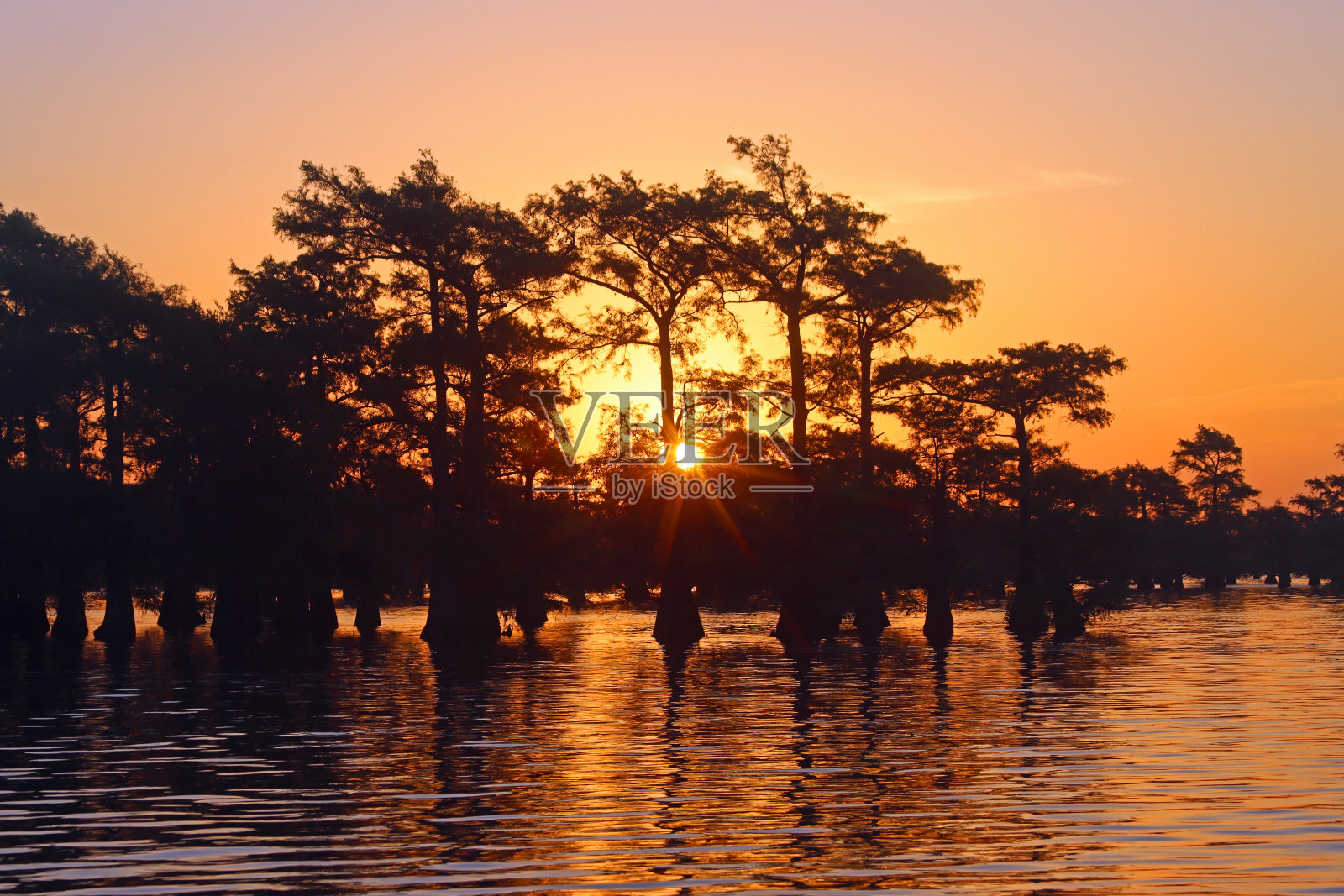 日出,日落,水上有树照片摄影图片