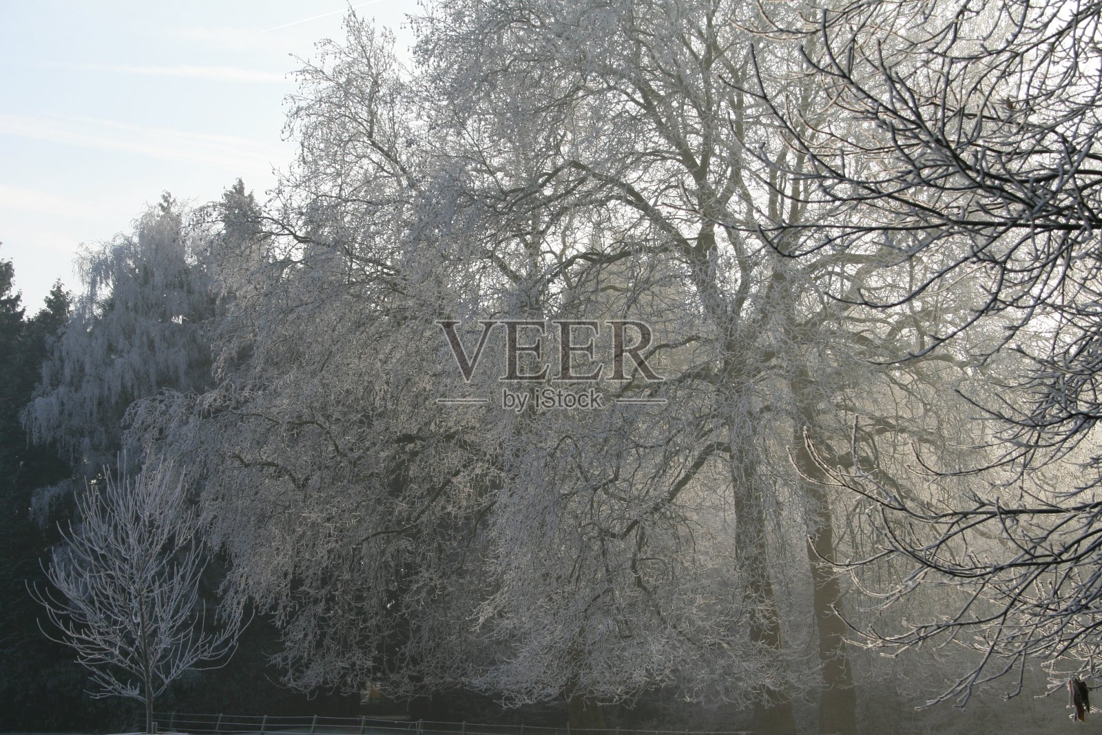 冬天照片摄影图片