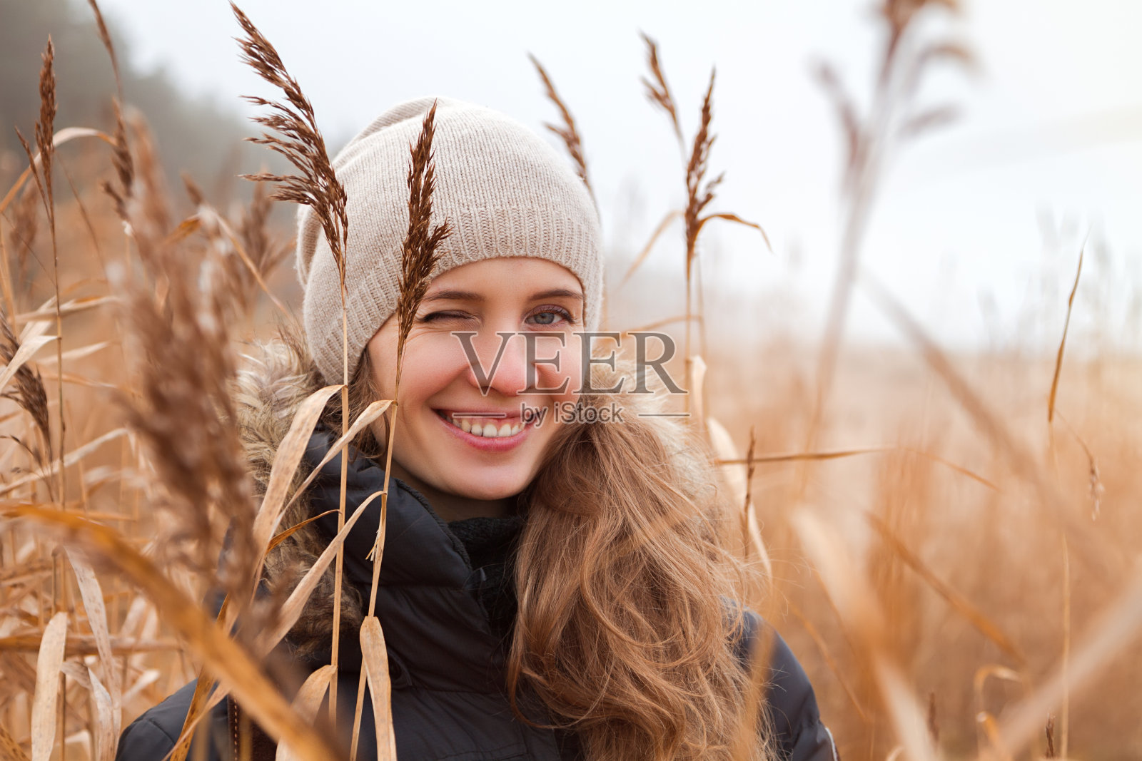 一个年轻浪漫美丽的微笑和眨眼的女人的肖像,蓝眼睛和长头发在一个羊毛帽和一件温暖的夹克在秋天的自然与莎草芦苇模糊的灰色背景。照片摄影图片