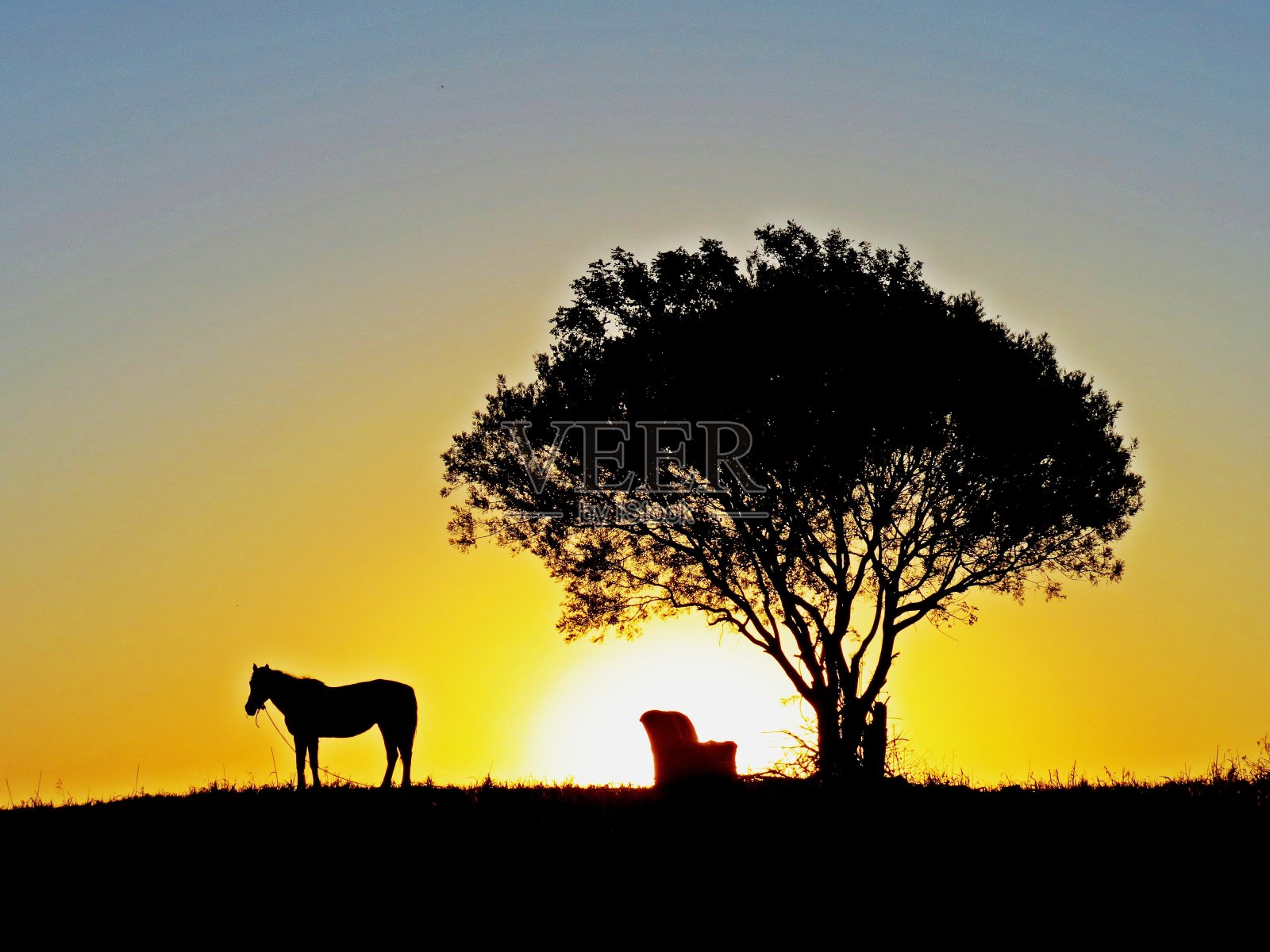黄昏休息照片摄影图片