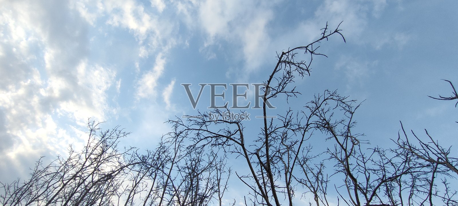 季风性照片摄影图片