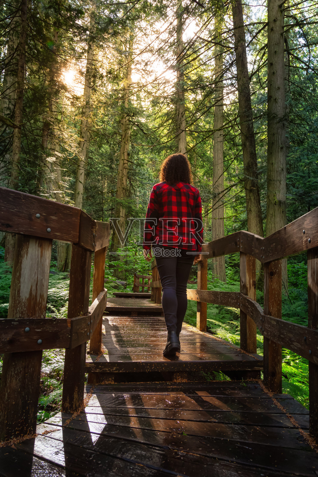 女孩在雨林中徒步旅行照片摄影图片