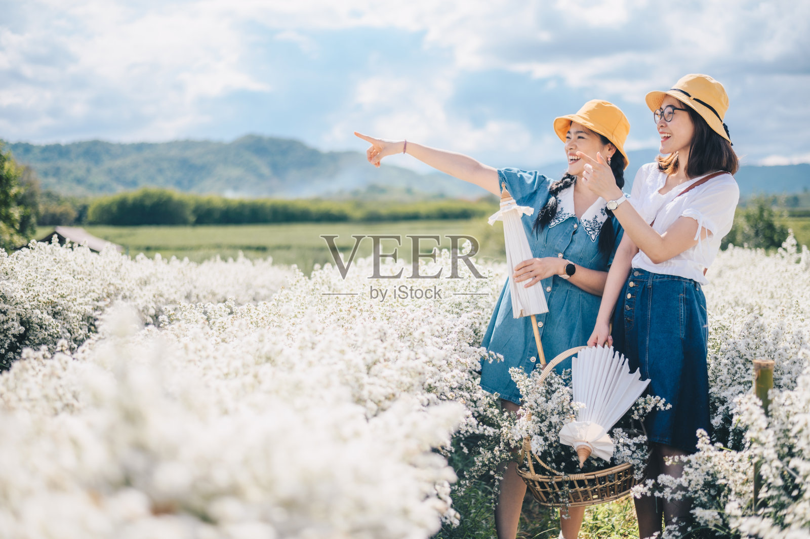 幸福亚洲妇女参观白色紫菀花田。照片摄影图片