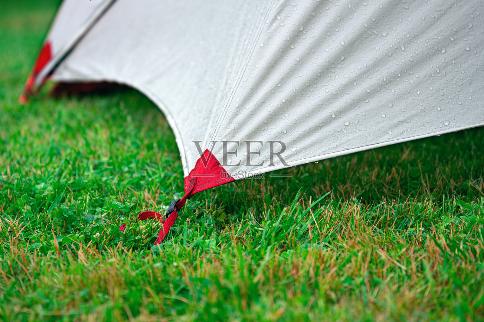 一个旅游帐篷的边缘,用绳子绷紧在户外的绿色草地上照片摄影图片