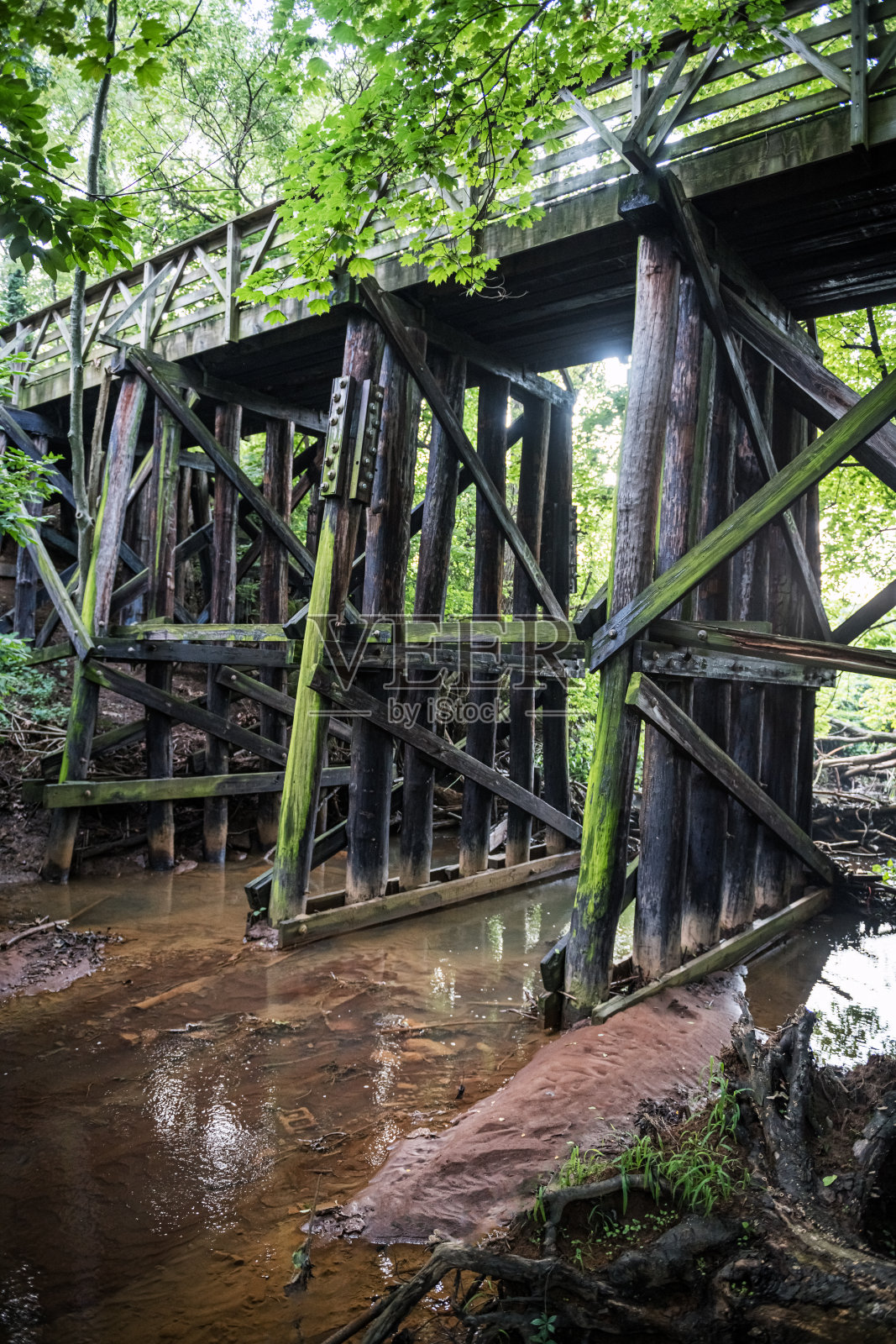 桥下的照片摄影图片