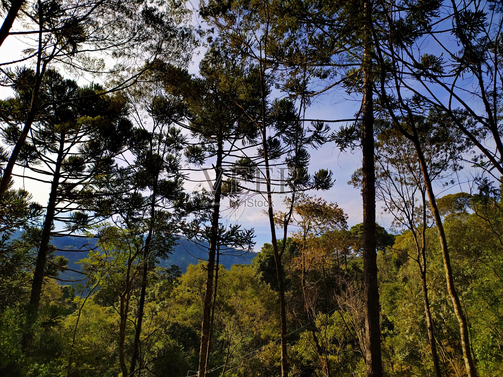 阿雷格里景观照片摄影图片