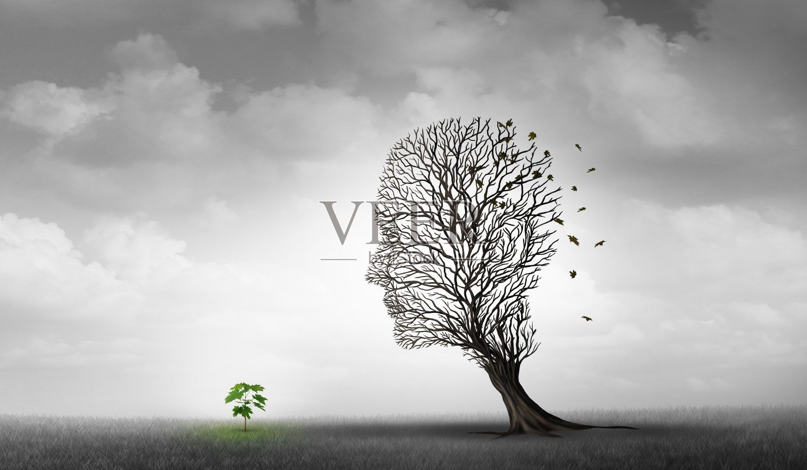 新生活概念照片摄影图片