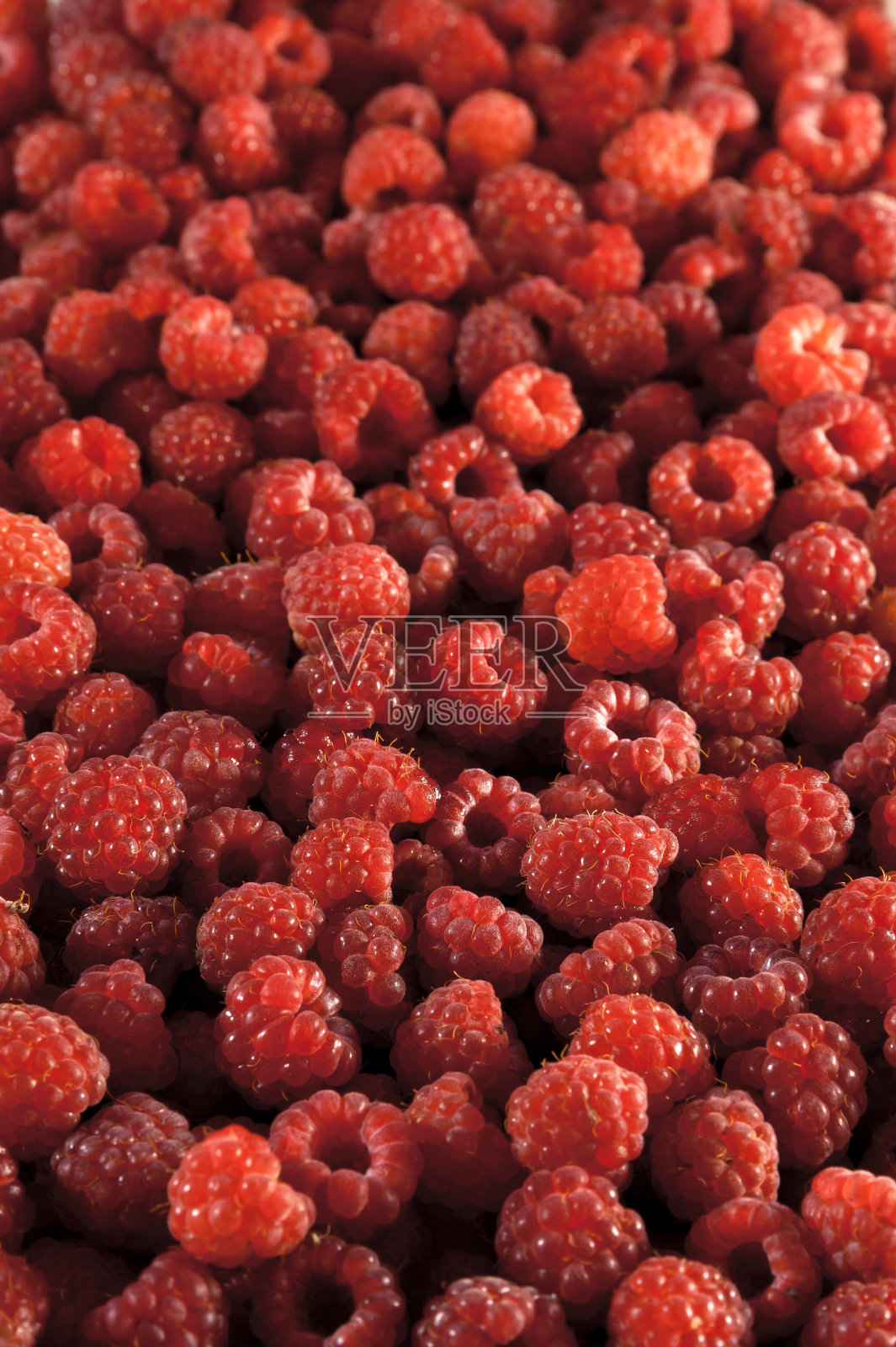 一堆成熟的红覆盆子。照片摄影图片