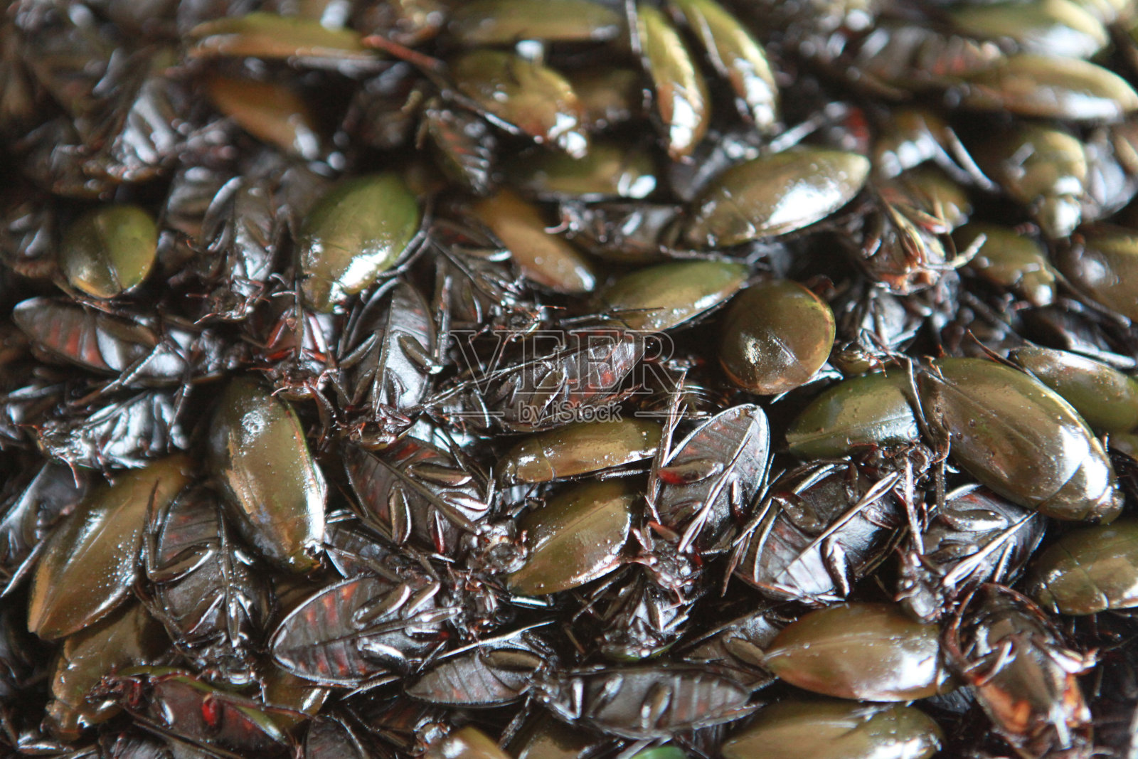 柬埔寨照片摄影图片