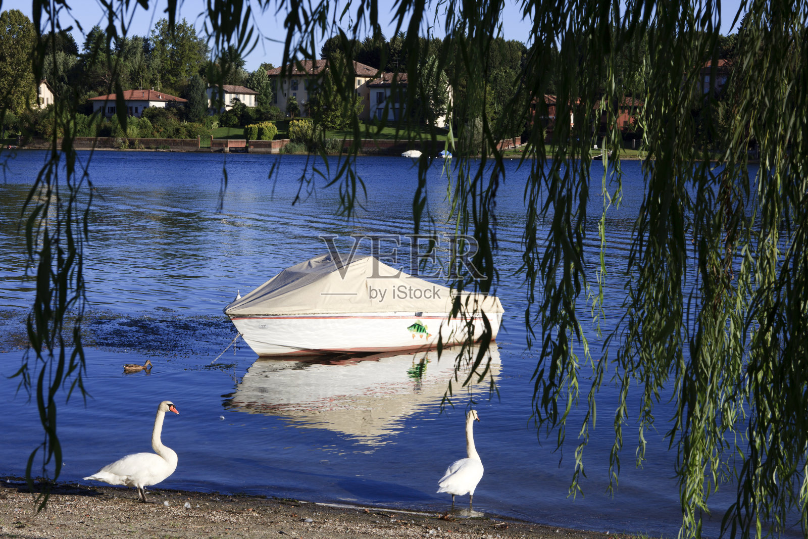 提契诺河,伦巴第,皮埃蒙特,意大利。照片摄影图片
