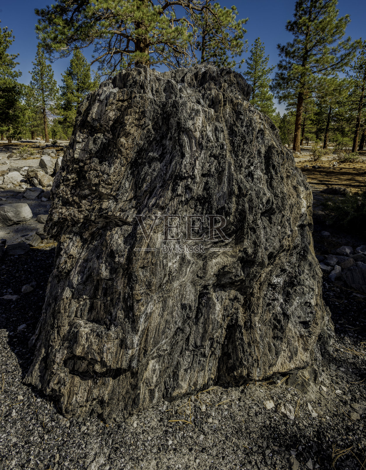 蒙诺陨石坑的黑曜石,可能被蒙诺派尤特印第安人用作工具和贸易。照片摄影图片