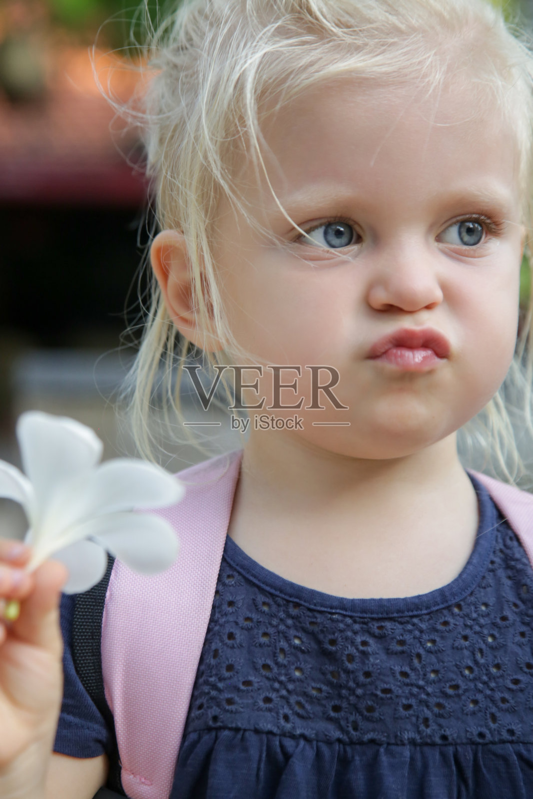 户外肖像可爱的金发蹒跚学步的女孩抱着白色的鸡蛋花照片摄影图片