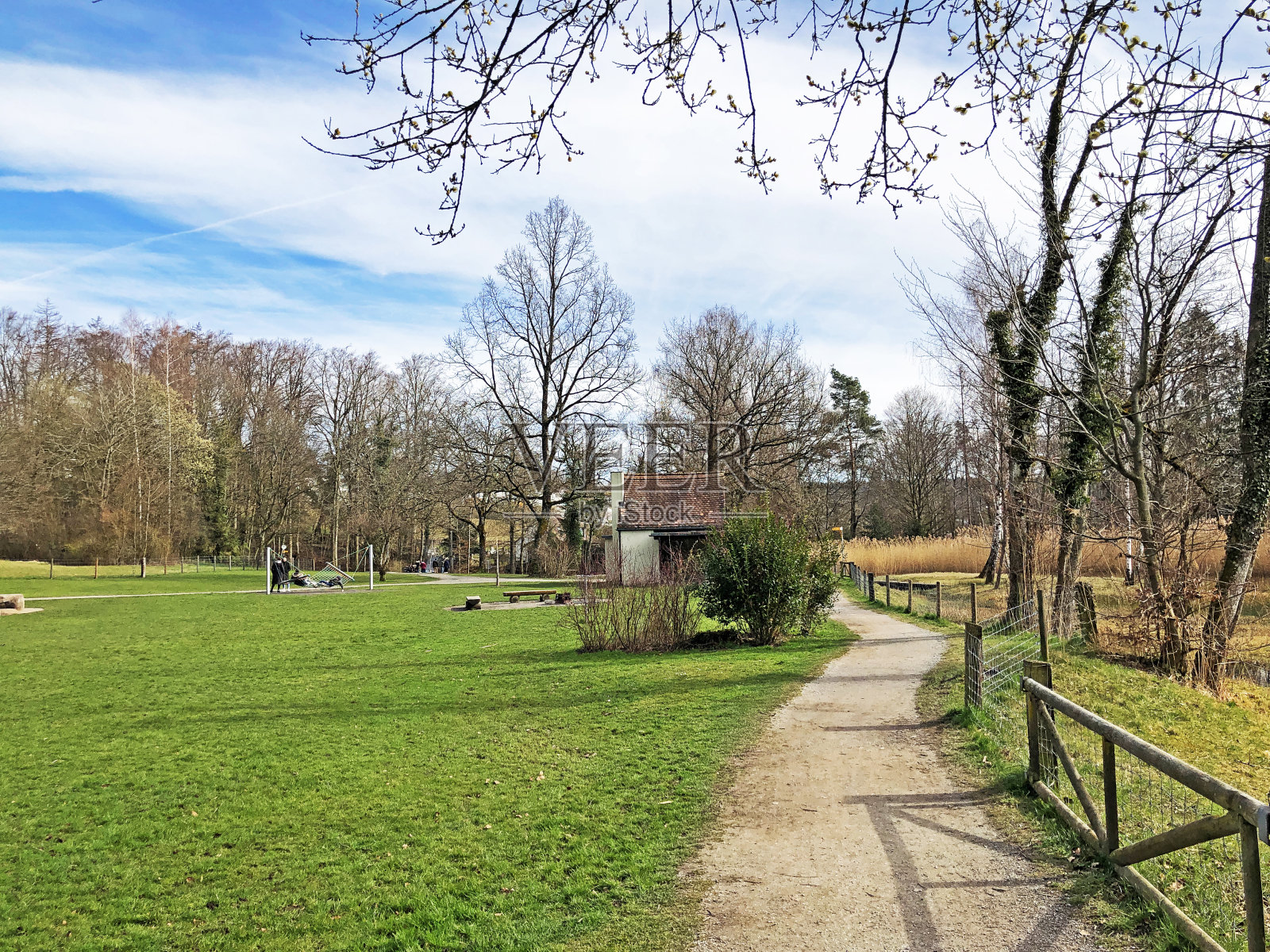 在鲁明湖自然保护区的步道,Küsnacht am Zürichsee(苏黎世或苏黎世)-苏黎世州,瑞士照片摄影图片