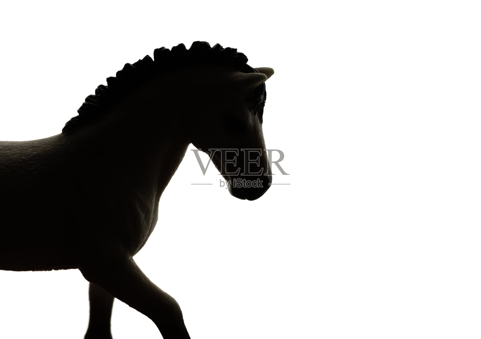 马的轮廓照片摄影图片