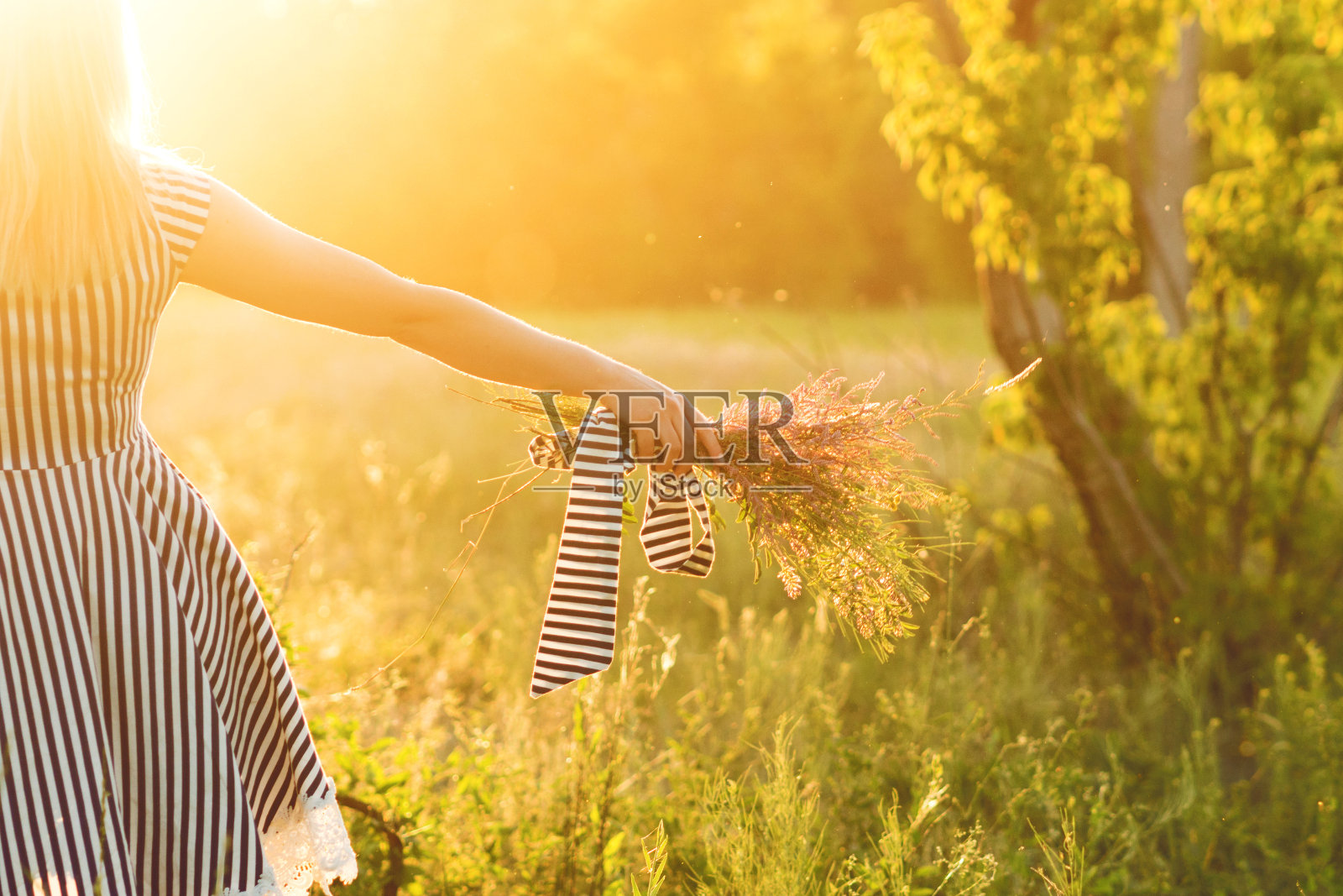 阳光女孩的背景照片摄影图片