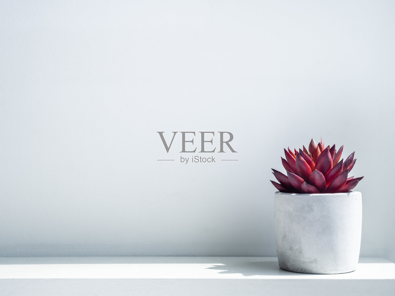 混凝土花盆。几何形状的水泥播种机。照片摄影图片