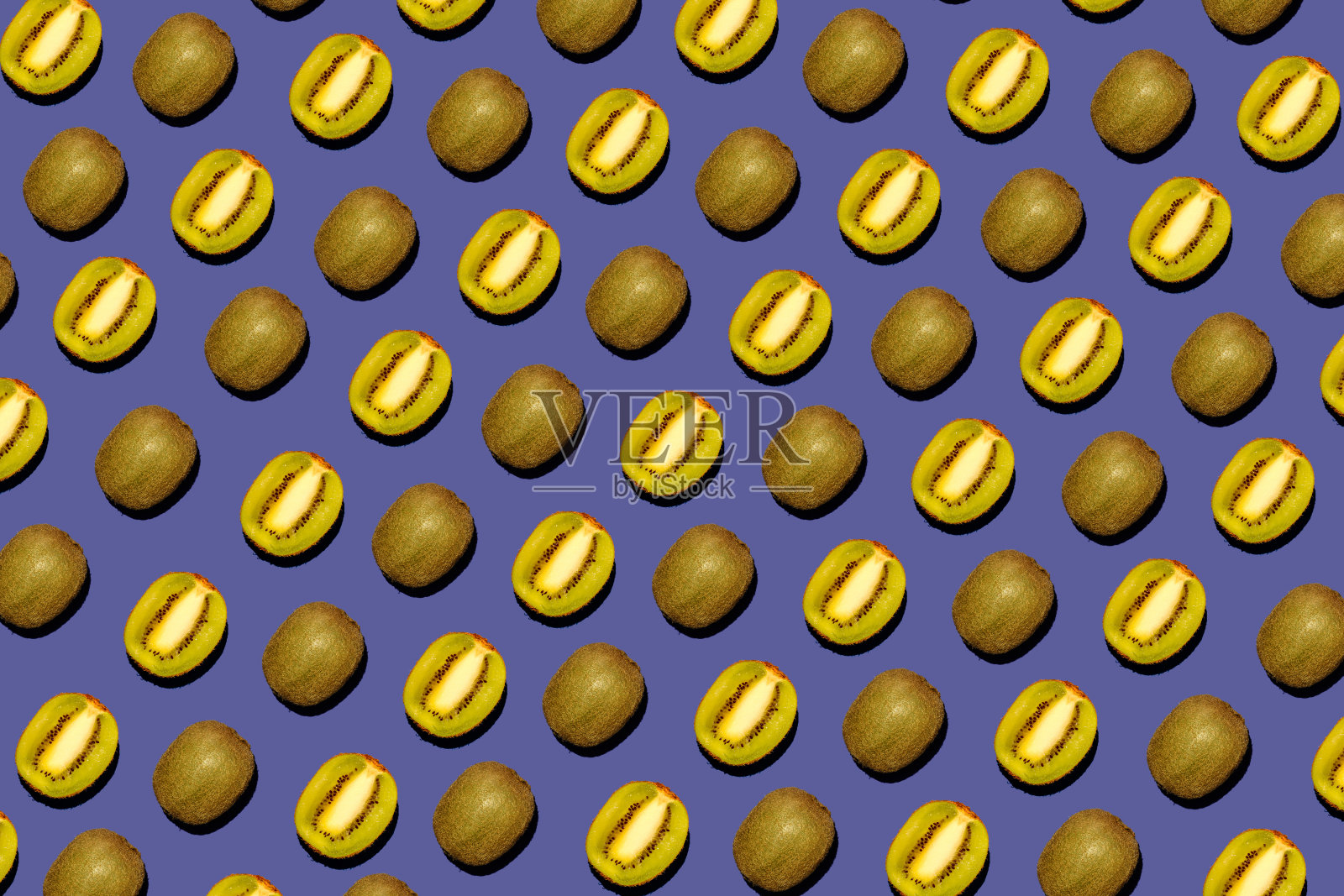 紫色背景上奇异鸟的静物画照片摄影图片