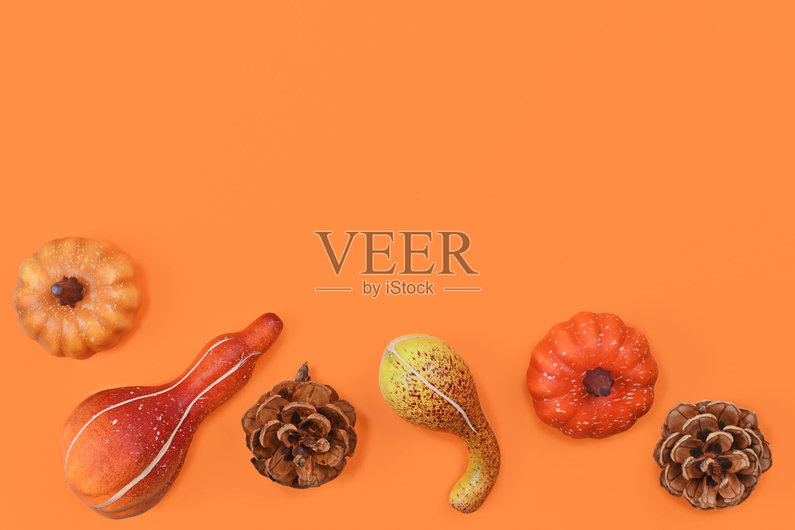 季节性的秋季平铺在橙色底色和空白的各种小南瓜上照片摄影图片