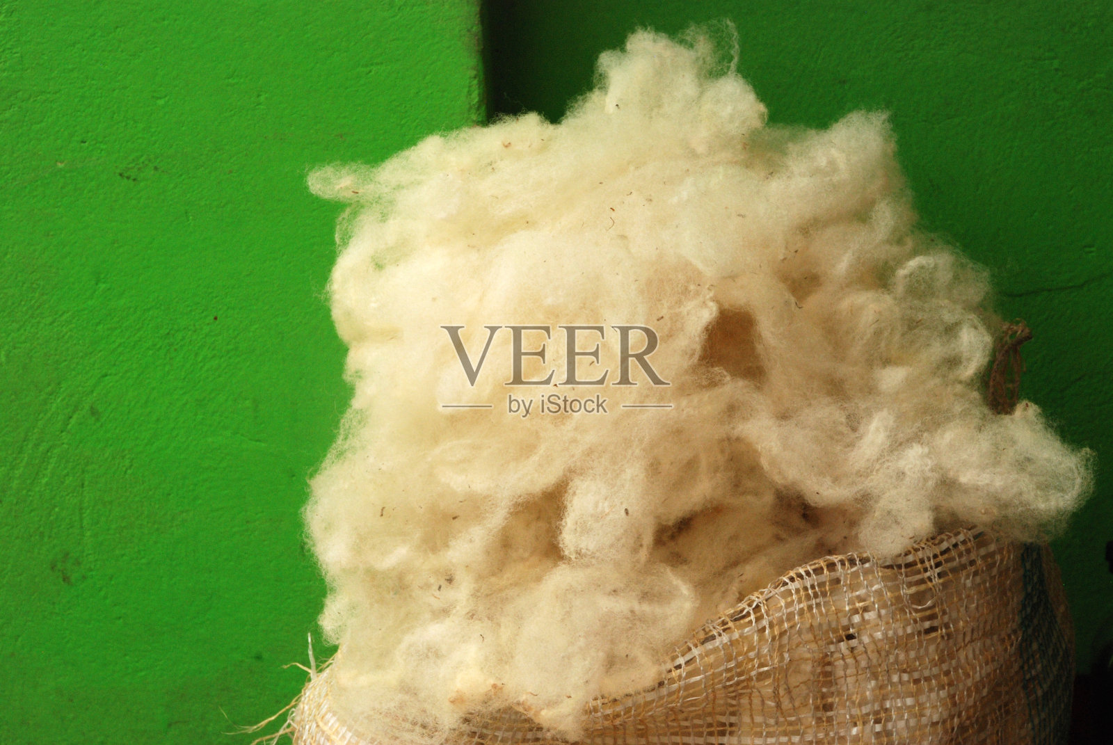 羊羊毛球照片摄影图片