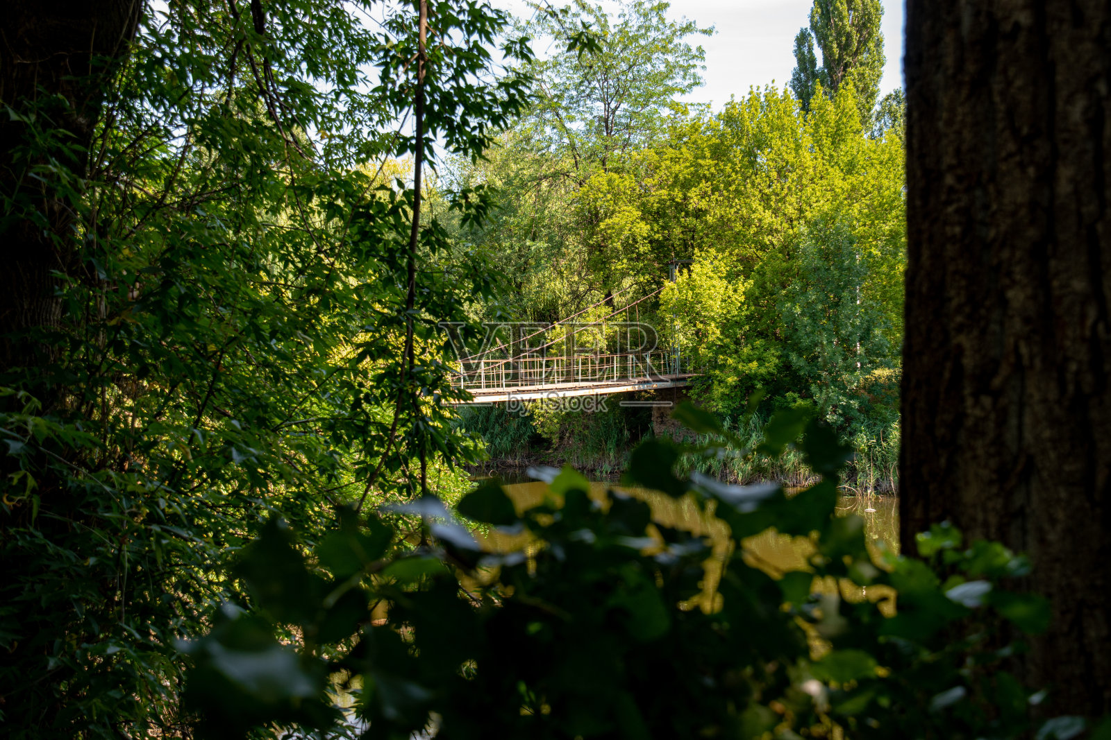 公园里的桥照片摄影图片