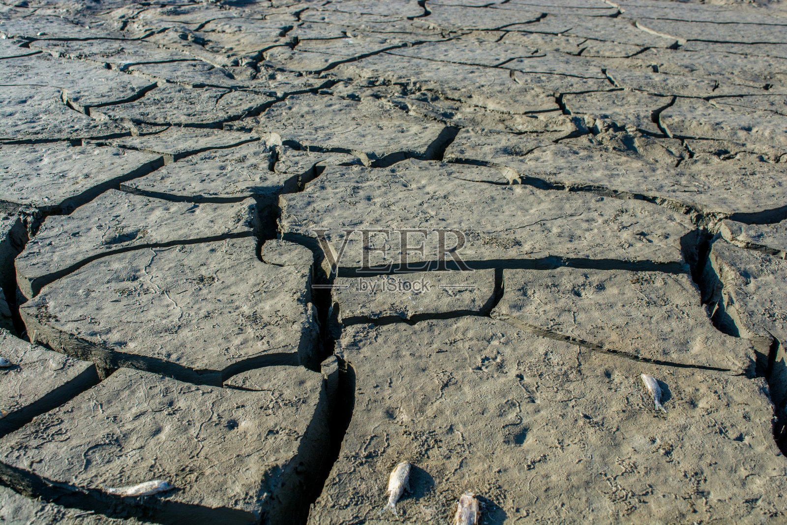 干枯的湖照片摄影图片