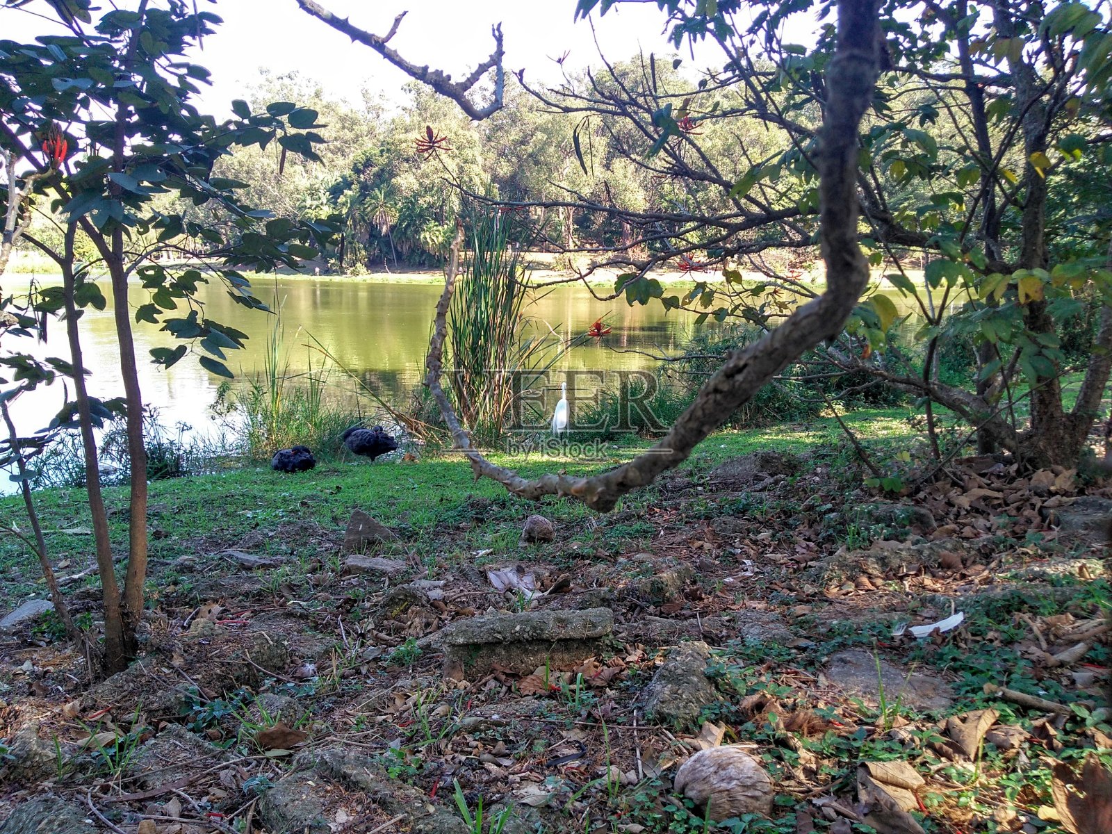 湖景照片摄影图片