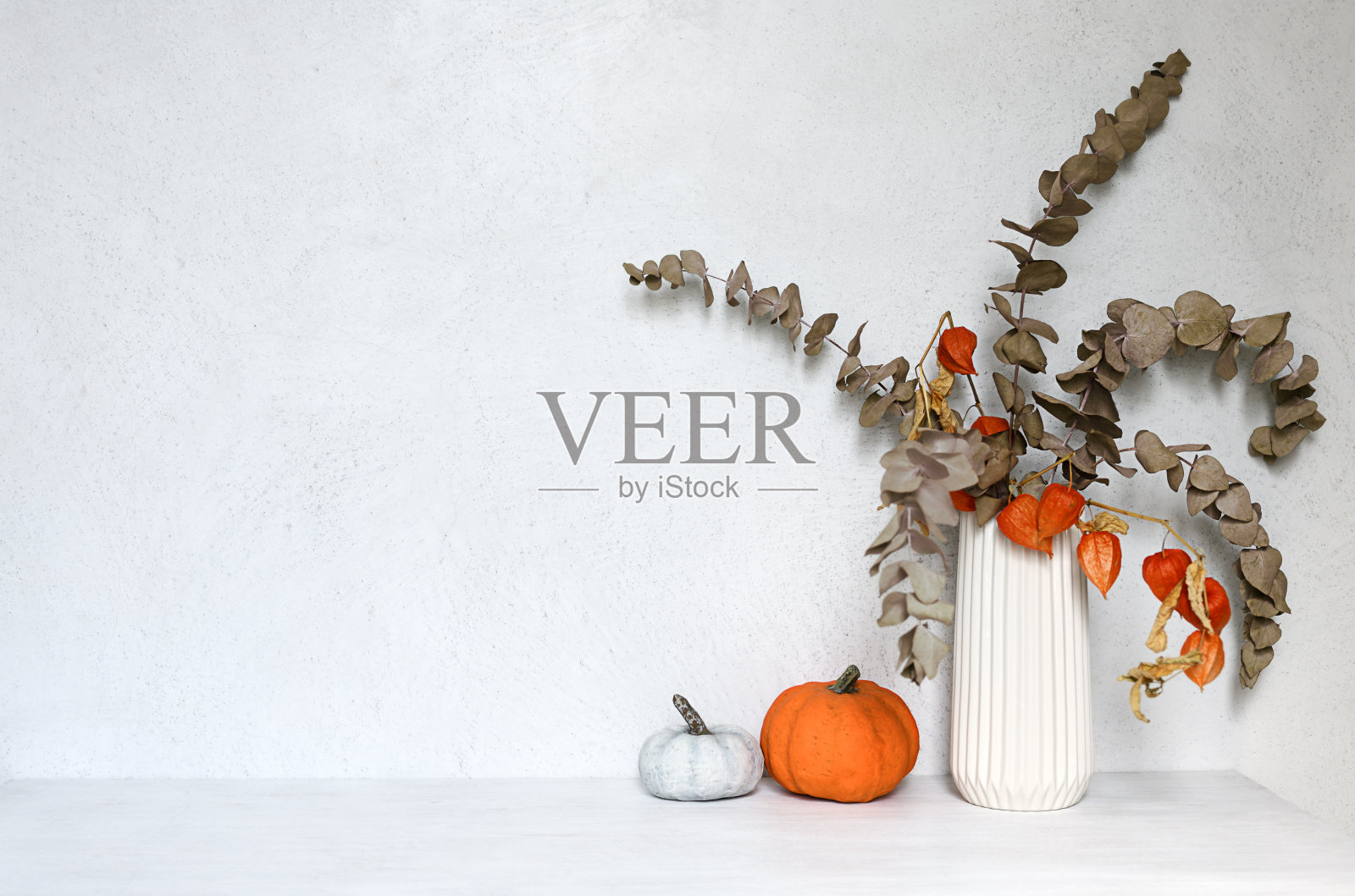 秋天的成分照片摄影图片