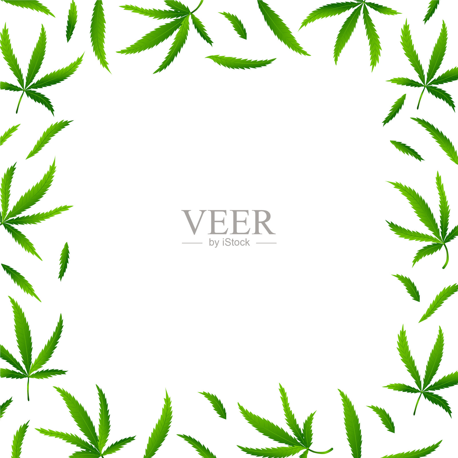 真实的大麻背景插画图片素材