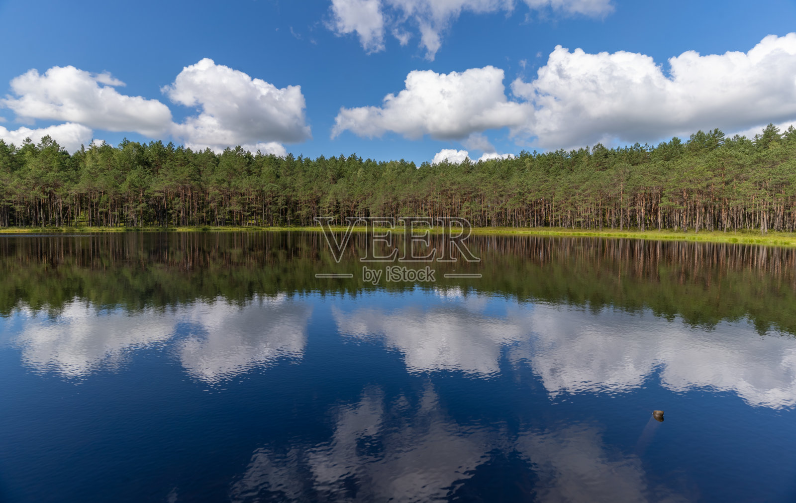 立陶宛奥克斯泰提亚国家公园令人惊叹的湖滨风景。立陶宛的第一个国家公园。照片摄影图片