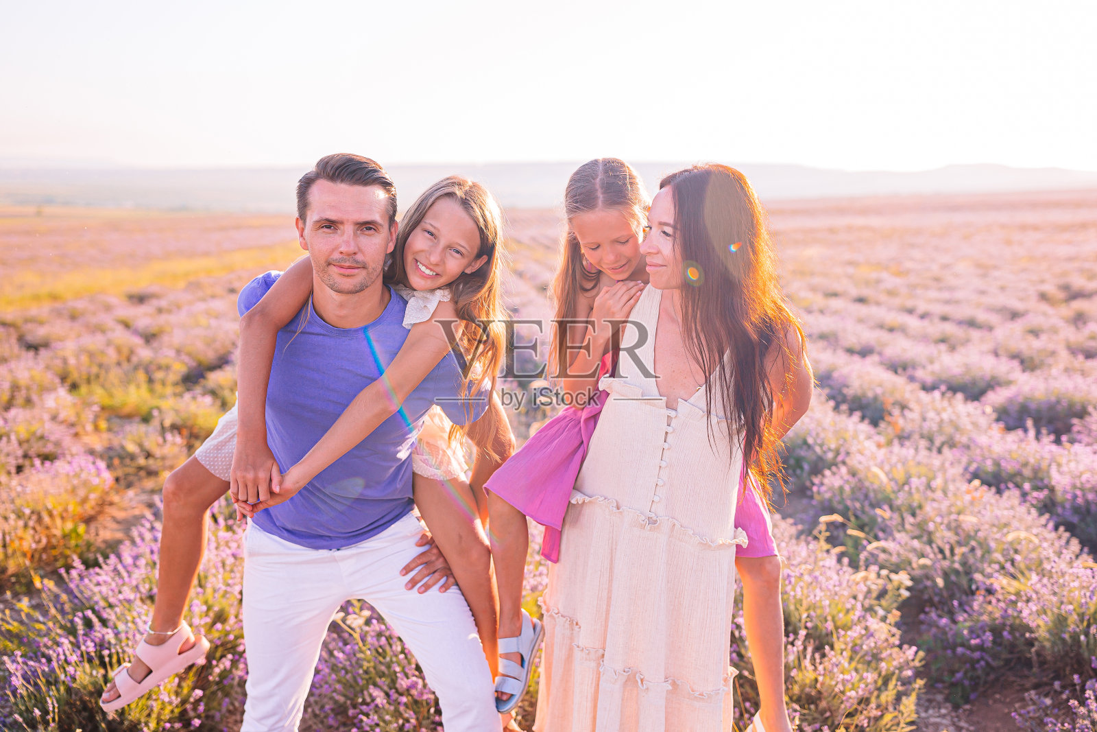 拂晓时分,一家人在薰衣草花丛中照片摄影图片