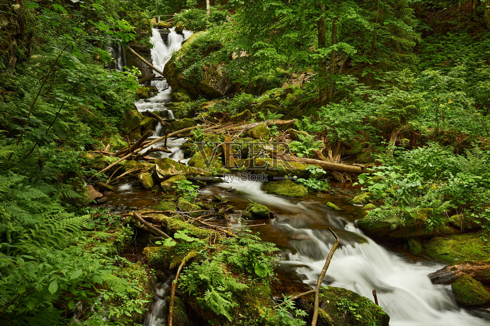 喀尔巴阡山脉的河流平静地流淌在长满绿色植物的岩石峡谷中照片摄影图片