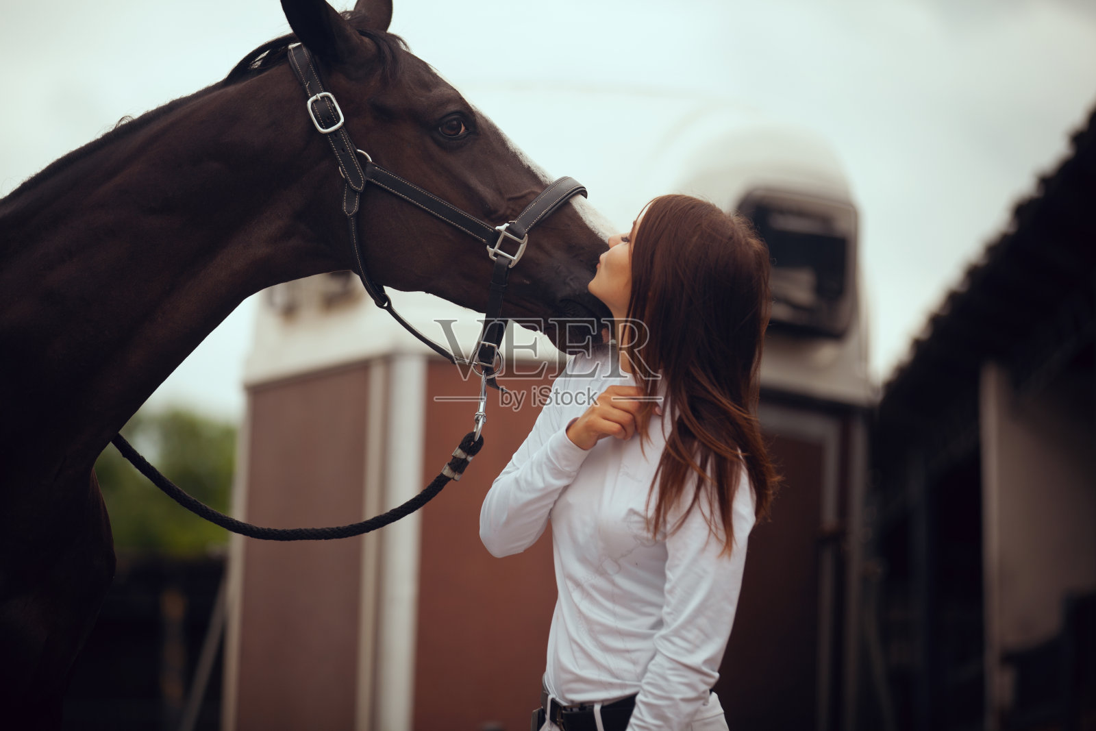马术运动。照片摄影图片