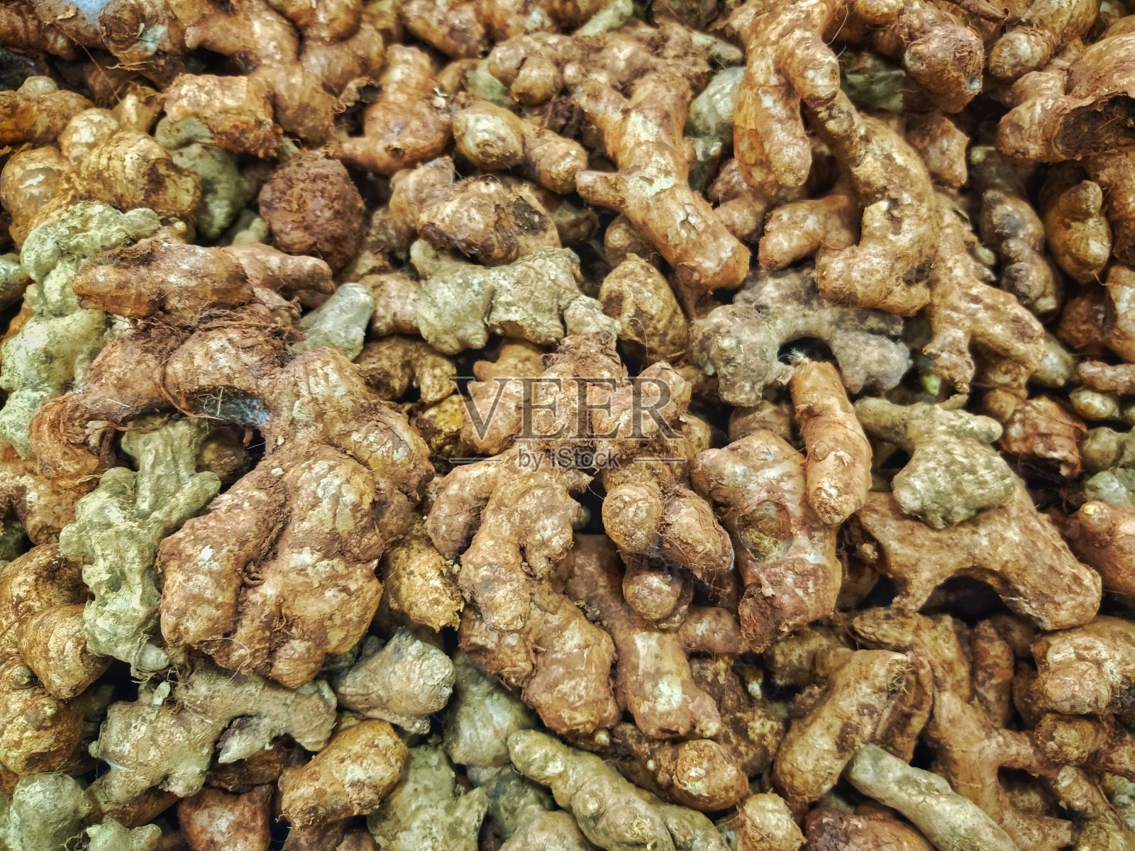 姜照片摄影图片