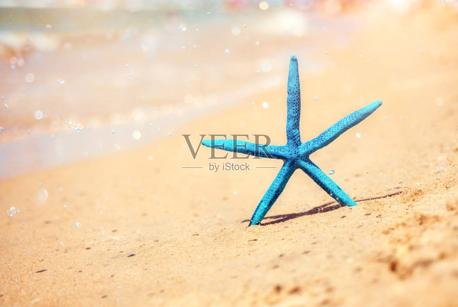 在一个炎热的阳光明媚的日子里,海星蓝星在海边的沙滩上。夏天的背景照片摄影图片
