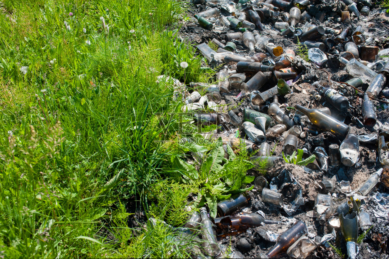 在绿色草地上堆放着烧焦的玻璃瓶的垃圾堆。清洁和污染的自然。概念照片摄影图片