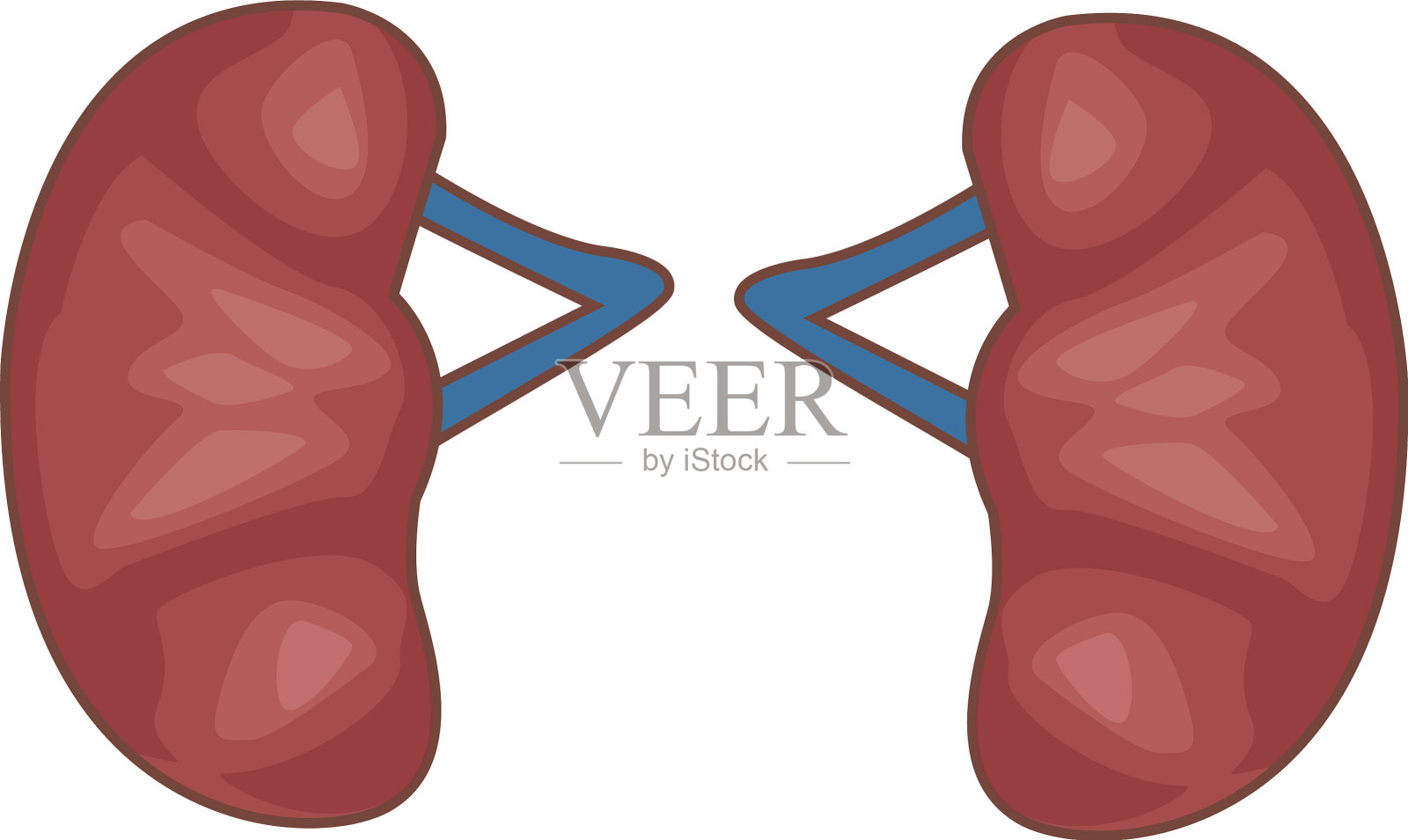 人肾脏器官分离图标插画图片素材