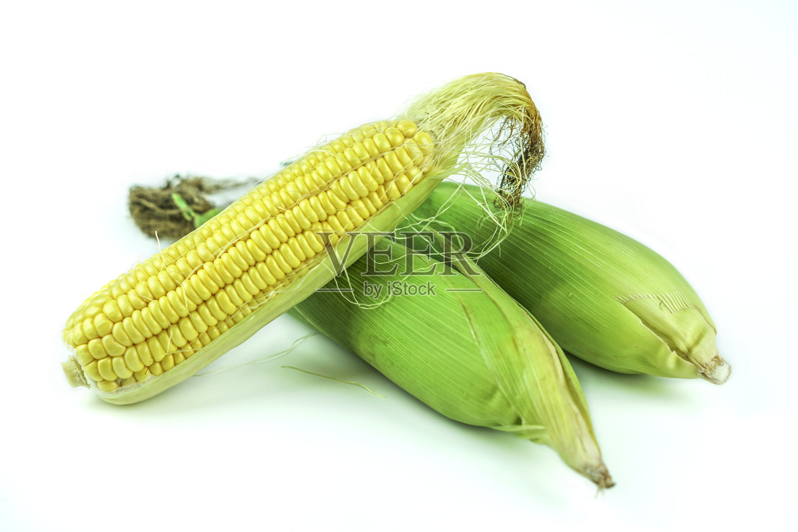白色背景上的玉米照片摄影图片