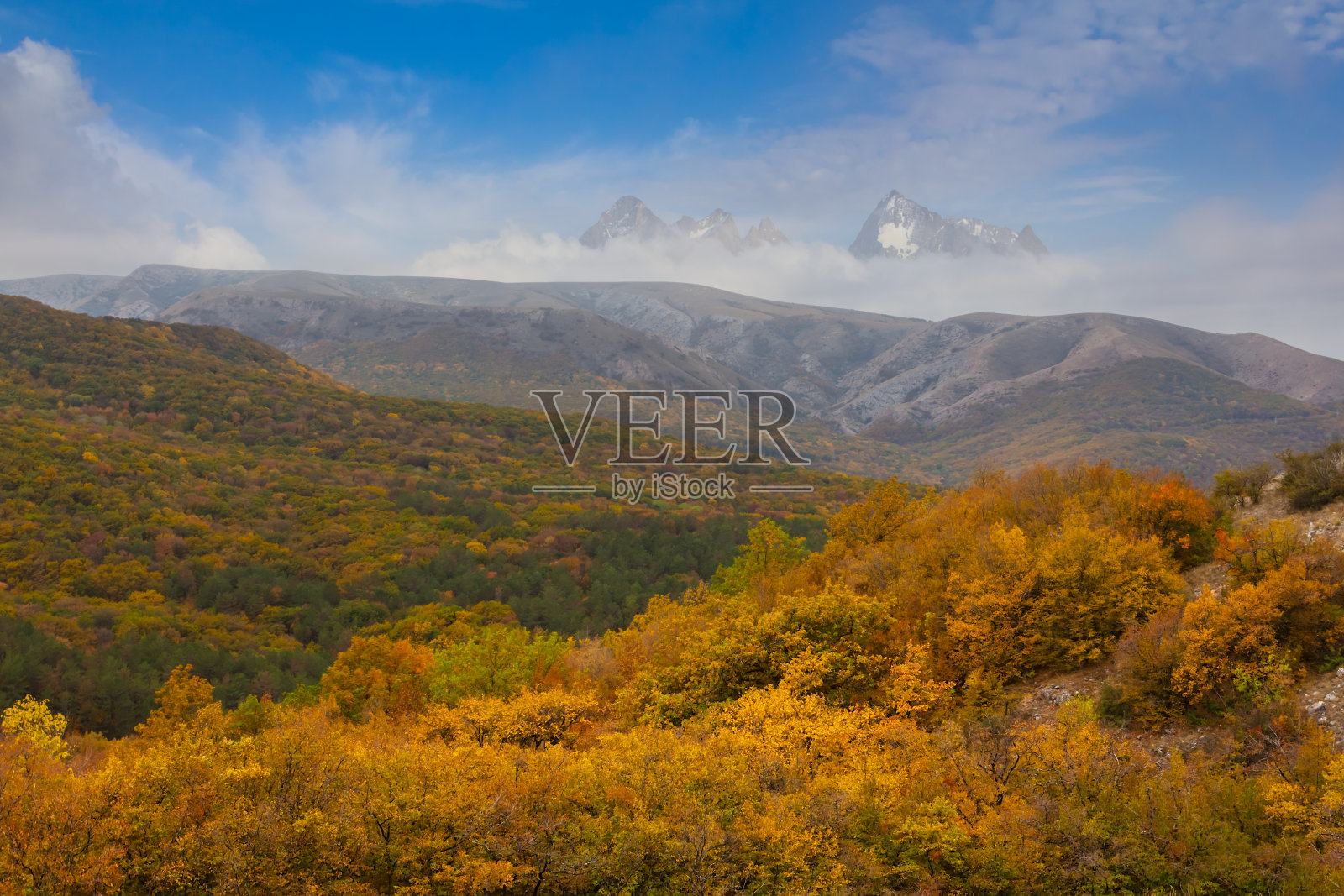 绿色的山谷与山脉链在一个雪照片摄影图片